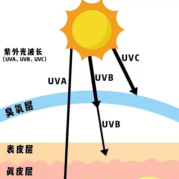 微信图片_20210629202952.jpg