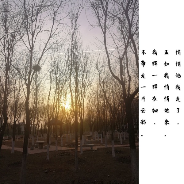 摄影7.jpg