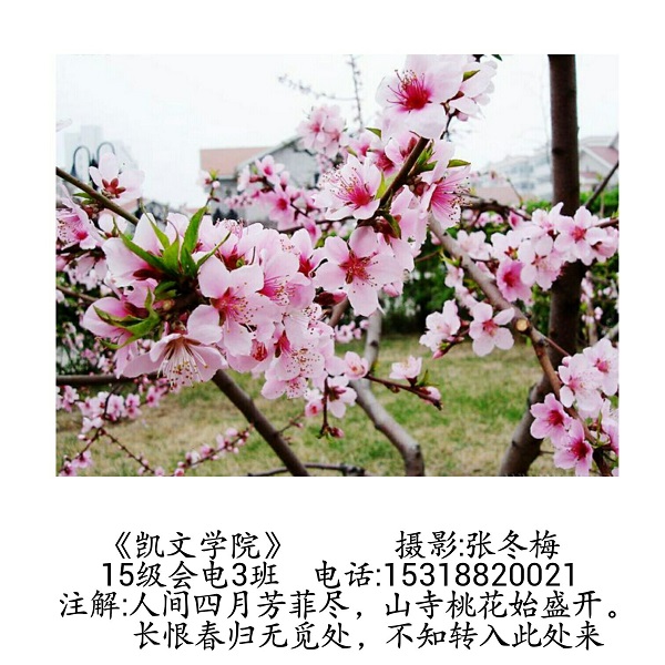 f61fbbde1906a7a5826fab9bc5d6f247.jpg
