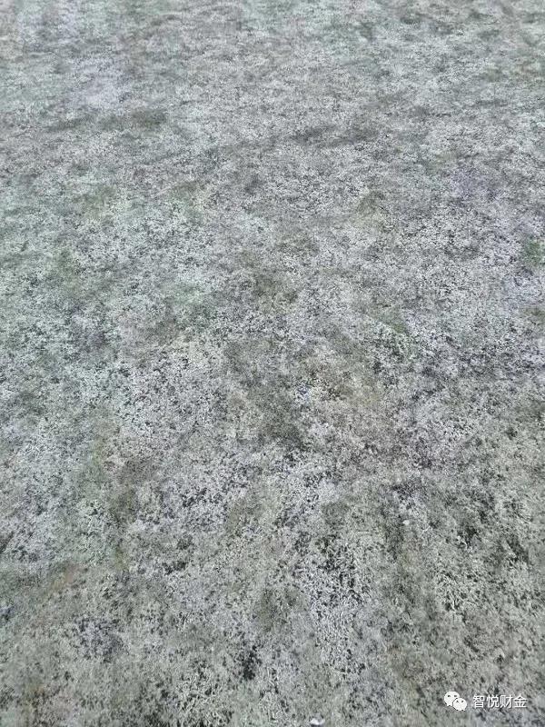 微信图片_20201211192257.jpg
