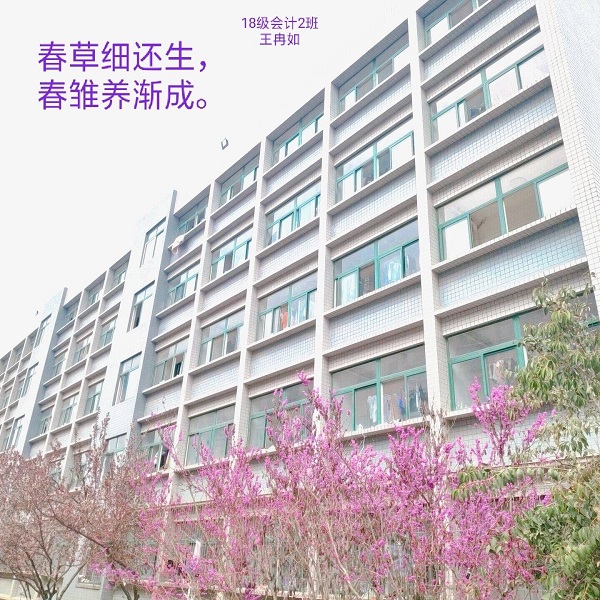 摄影8.jpg