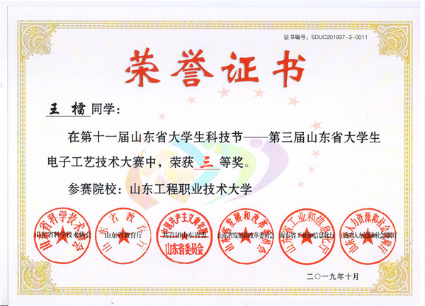 电子工艺比赛 wanglei_副本.jpg